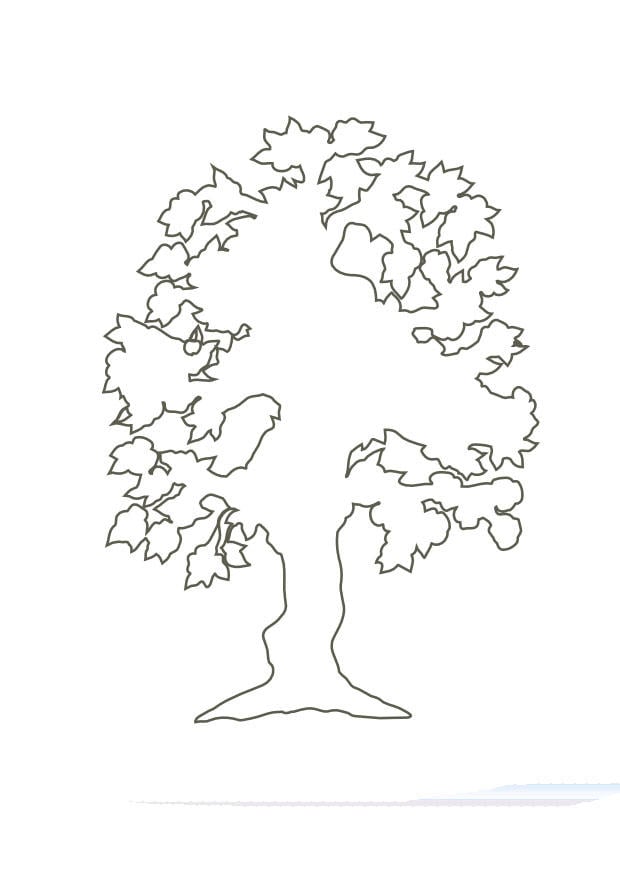 Dibujo para colorear Arbol